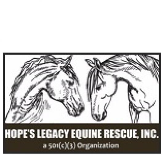 Agency Logo