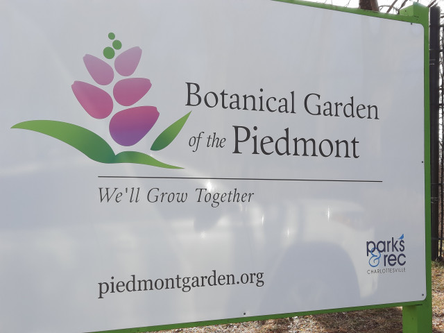 Agency Photo  (164127)