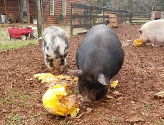 Agency Photo  (168747)