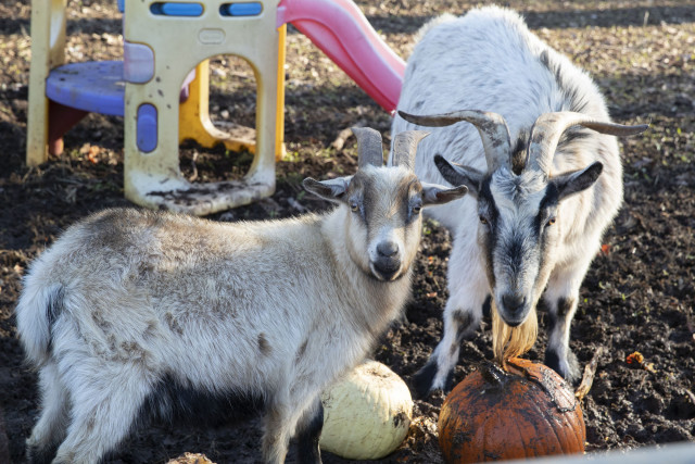 Agency Photo  (168753)