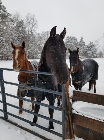 Agency Photo  (168748)