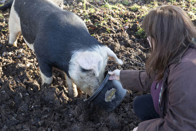 Agency Photo  (168754)