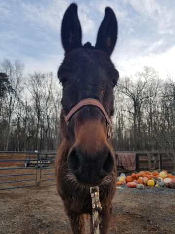 Agency Photo  (168746)