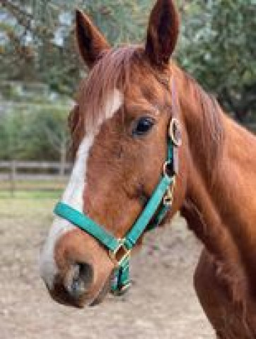 Agency Photo  (168744)