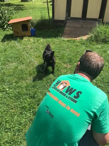 Agency Photo  (111756)