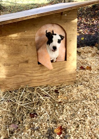 Agency Photo  (111754)