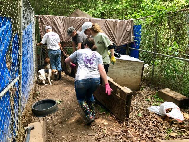 Agency Photo  (111751)