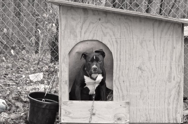 Agency Photo  (47790)