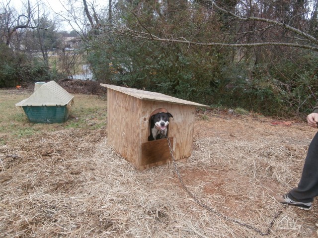 Agency Photo  (47791)