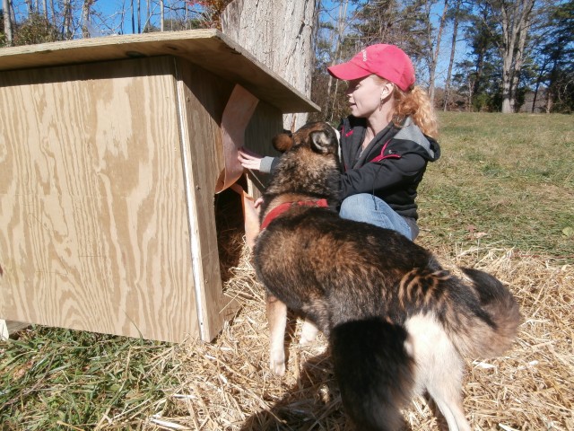 Agency Photo  (47793)