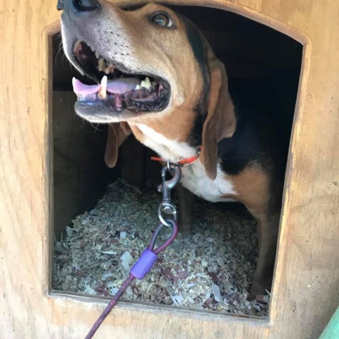 Agency Photo  (111755)