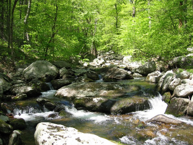 Agency Photo  (135747)