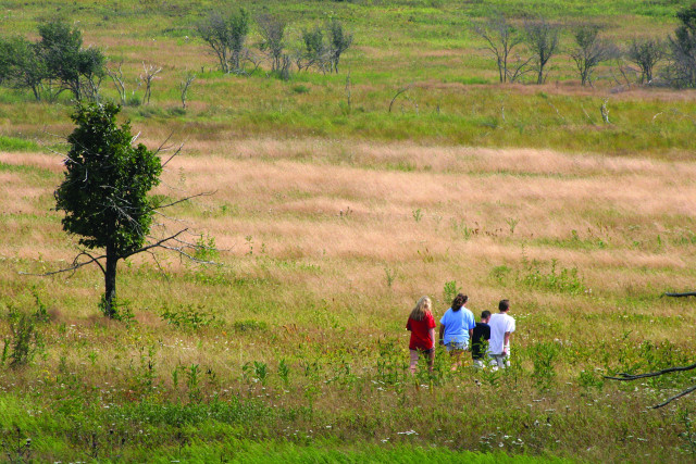 Agency Photo  (135744)