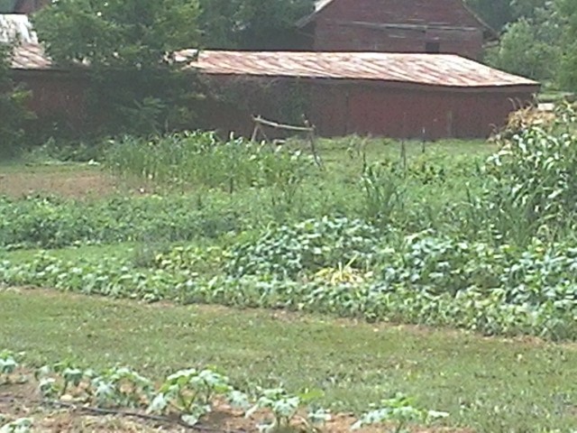 Agency Photo  (47675)