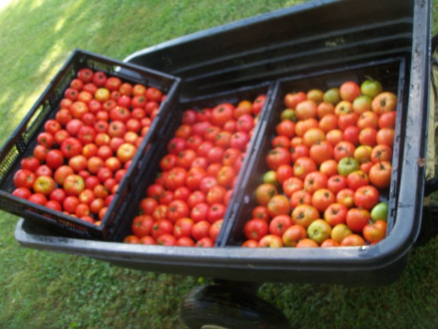 Agency Photo  (47673)