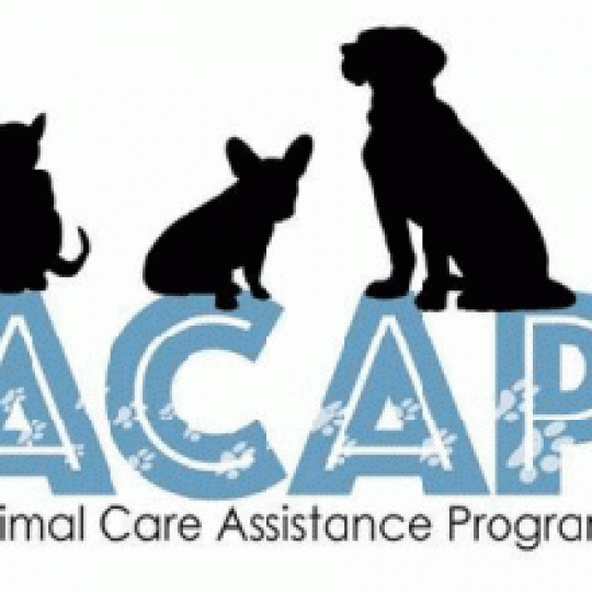 Agency Logo
