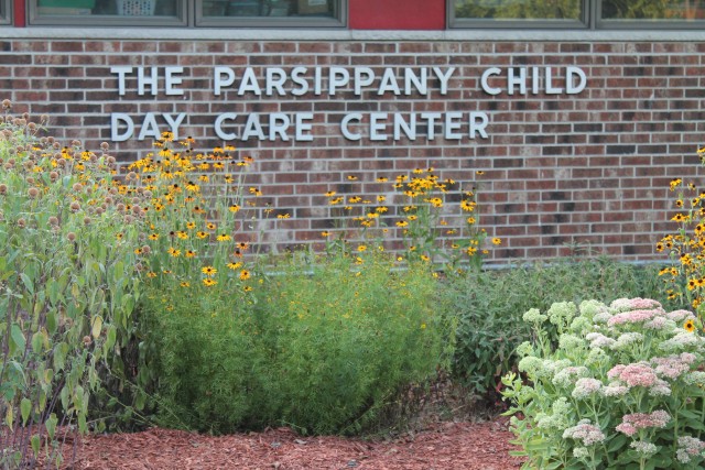 Agency Photo  (68158)