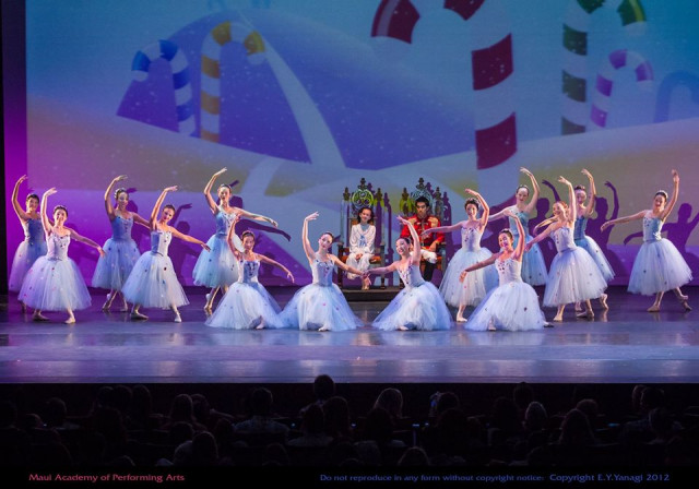 Agency Photo  (155068)