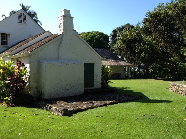 Agency Photo  (35263)
