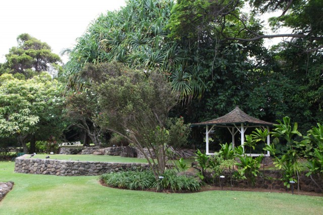 Agency Photo  (35260)