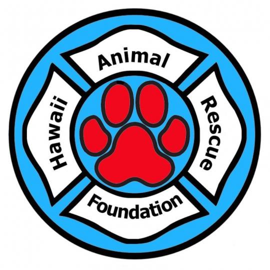 Agency Logo