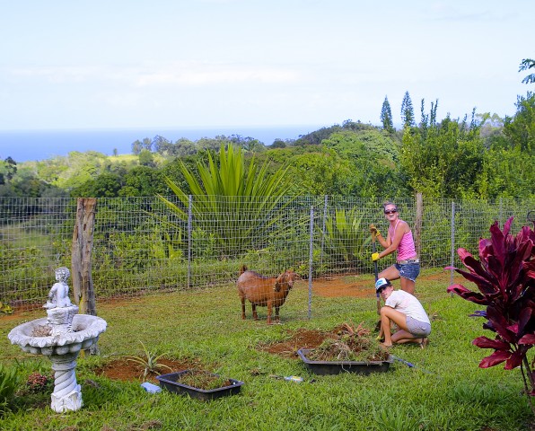 Agency Photo  (53223)