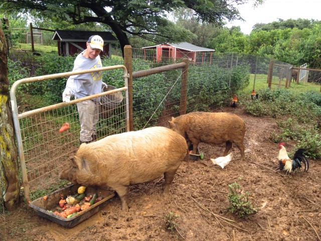 Agency Photo  (53222)