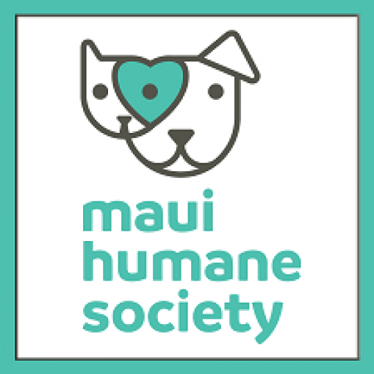 Agency Logo