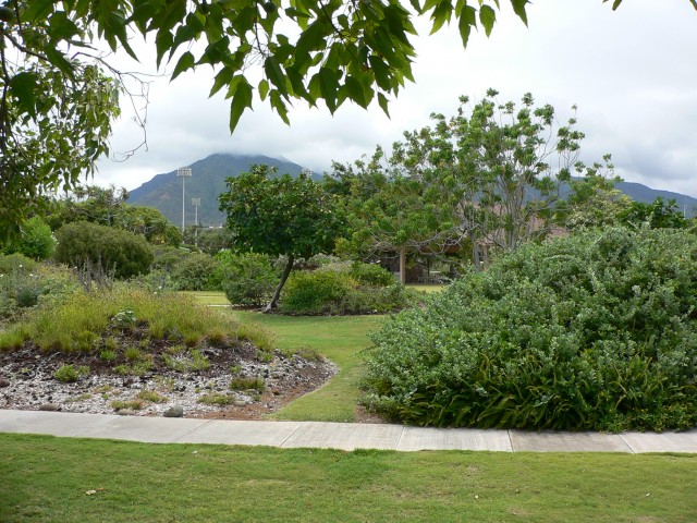 Agency Photo  (25559)
