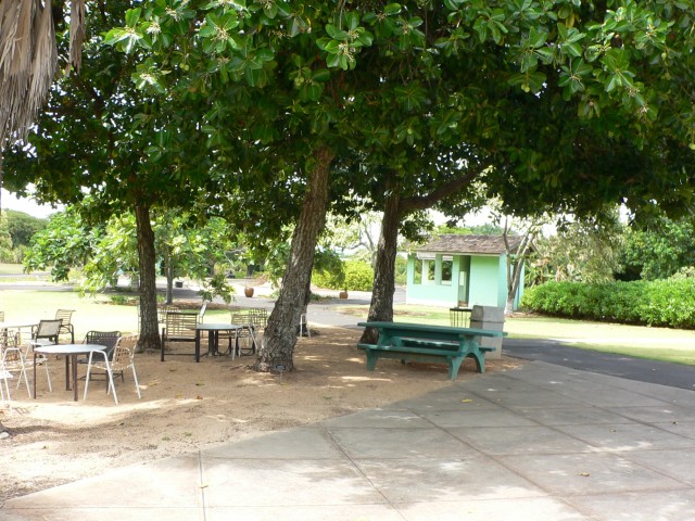 Agency Photo  (25557)