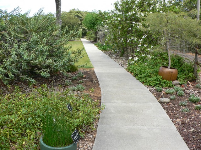 Agency Photo  (25558)