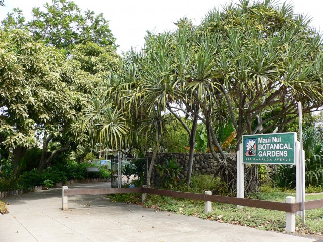 Agency Photo  (25562)