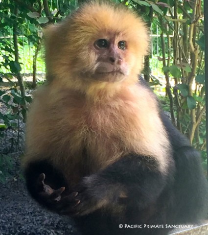 Agency Photo  (100873)