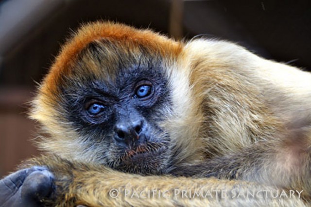 Agency Photo  (55977)