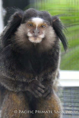 Agency Photo  (55978)