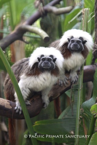 Agency Photo  (55976)