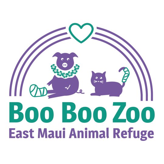Agency Logo