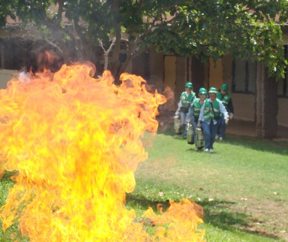 Agency Photo  (58953)