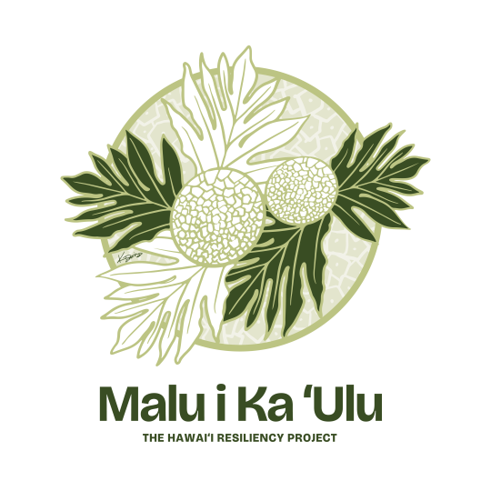 Agency Logo