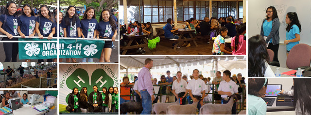 Agency Photo  (115935)