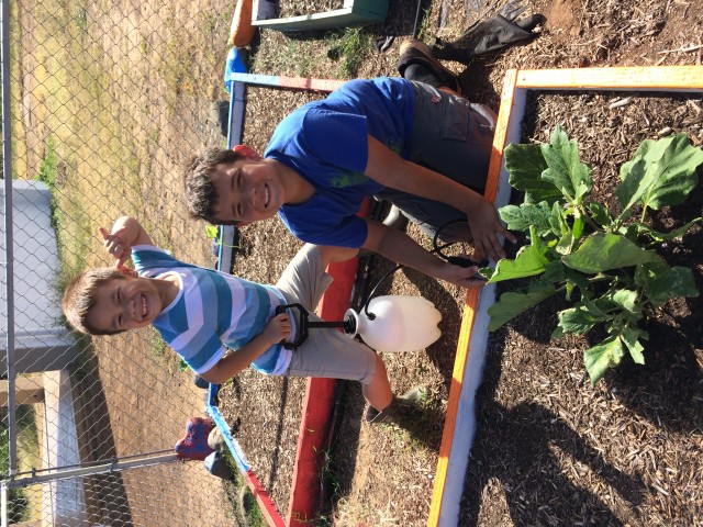 Agency Photo  (77024)