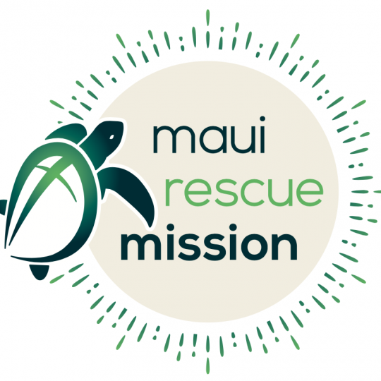 Agency Logo
