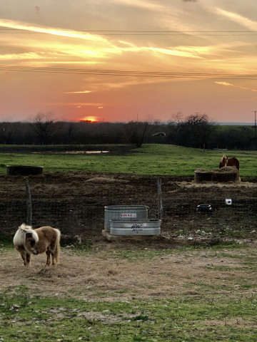 Agency Photo  (175053)