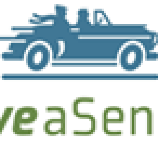 Agency Logo