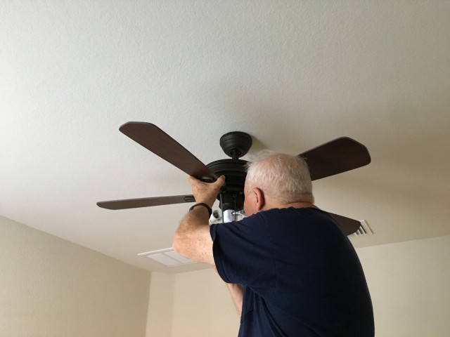 Agency Photo  (203833)