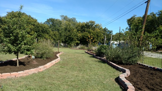 Agency Photo  (99770)