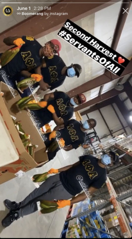 Agency Photo  (158793)