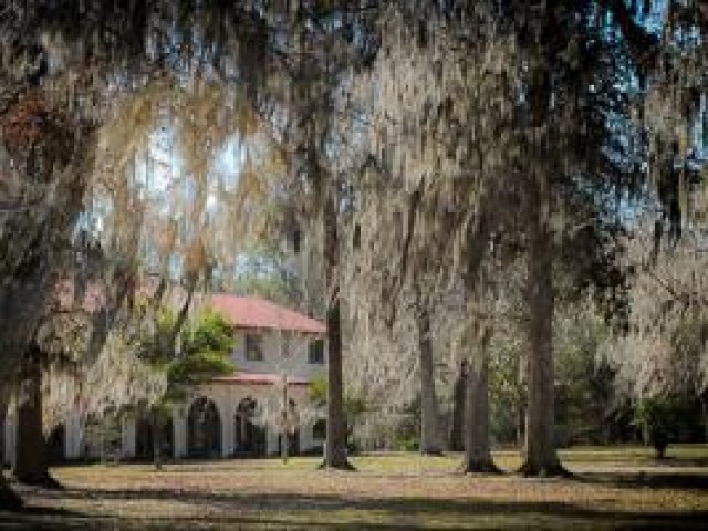 Agency Photo  (111184)