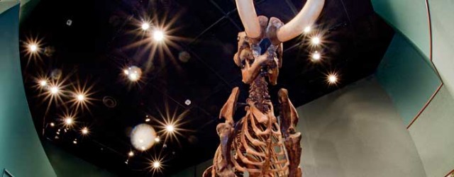 Agency Photo  (53171)