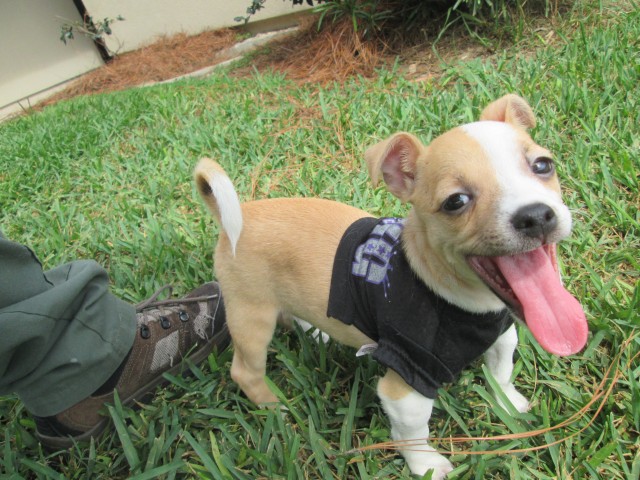 Agency Photo  (42776)